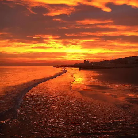 Palma Carraro Immobiliare - Family *